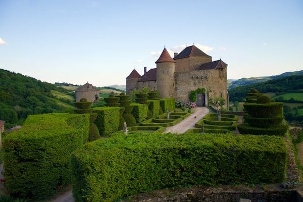 Où apprendre les techniques de vinification traditionnelle en Bourgogne, France?