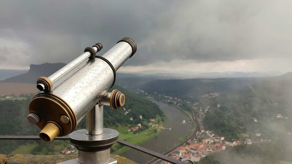 Quelles sont les options pour observer l'ours polaire dans son habitat naturel au Canada ?